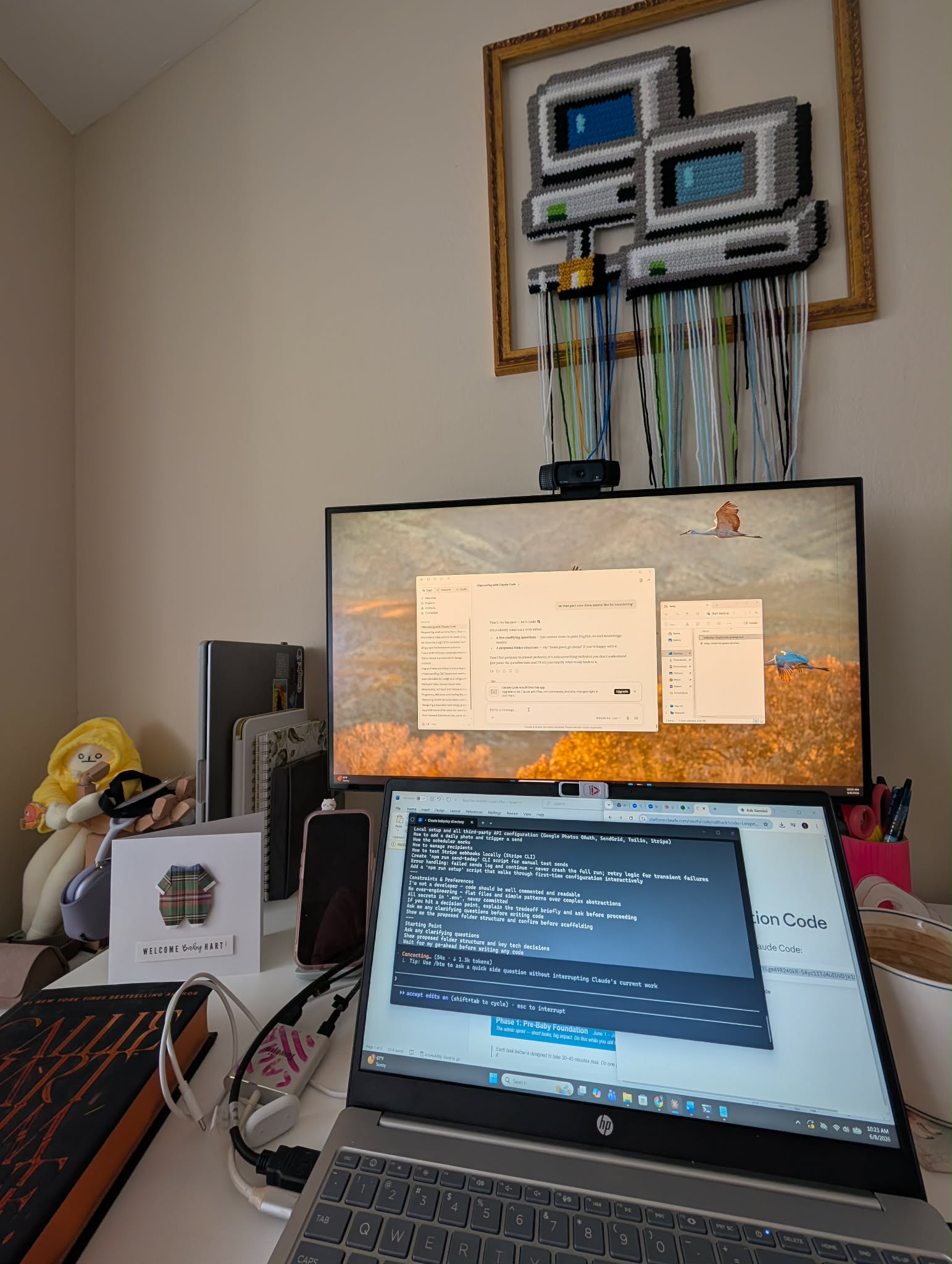 Laura coding Bliplove